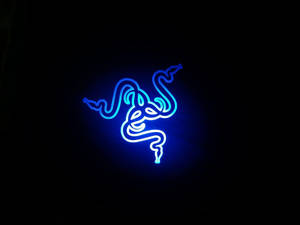 Razer In Blue Neon 4k Wallpaper