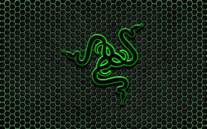 Razer Pc Logo With Hexagonal Background Wallpaper