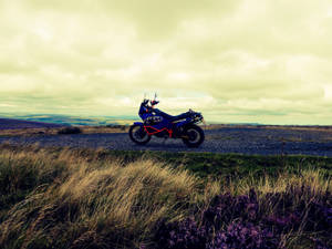 Rc 390 Purple Flowers Ktm Bike Wallpaper