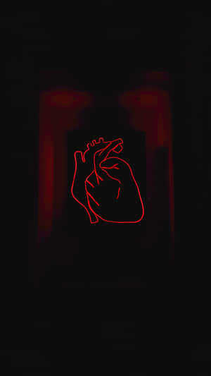 Real Heart Pfp Wallpaper