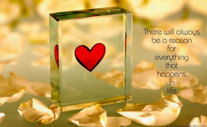 Really Cool Love Quotation With Petals Wallpaper