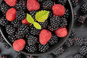 Red And Black Raspberries Wallpaper