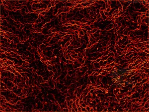 Red And Black Static Wallpaper