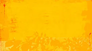 Red And Yellow High Resolution Wallpaper Wallpaper