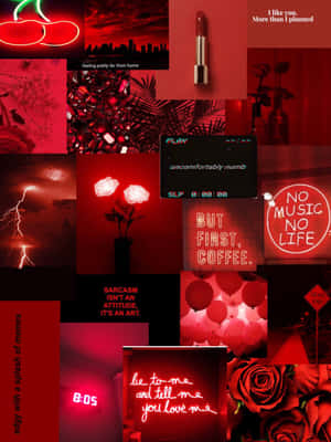 Red Attire For The Wild And Free Wallpaper