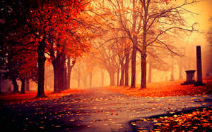 Red Autumn Season Landscape Wallpaper