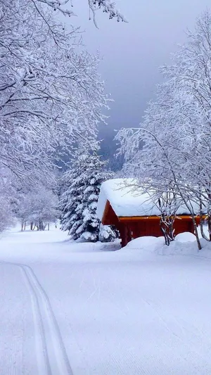 Red Barn With Snow Falling Wallpaper