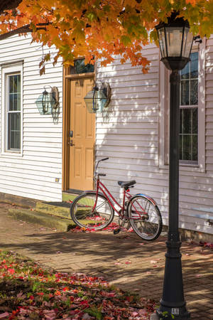 Red Bike Autumn Scene Wallpaper