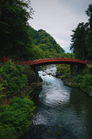 Red Bridge And River View Wallpaper