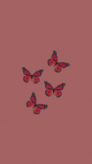 Red Brown Butterfly Aesthetic Wallpaper