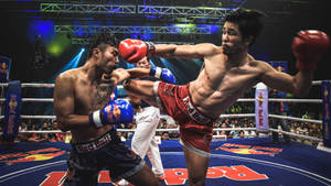 Red Bull Muay Thai Art Wallpaper