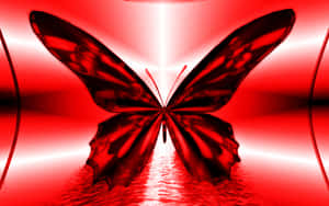 Red Butterfly Minimalist Aesthetic Wallpaper