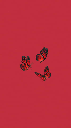 Red Butterfly Minimalist Design Wallpaper