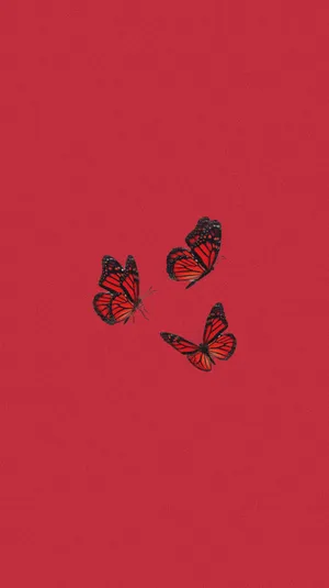 Red Butterfly Minimalist Design Wallpaper