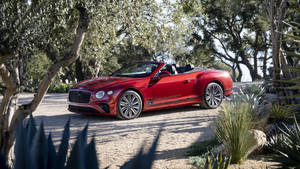 Red Convertible Bentley 4k Laptop Car Wallpaper