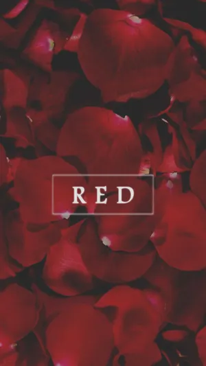 Red Cute Aesthetic Petals Wallpaper