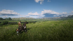 Red Dead Redemption 2 Desktop Grassland Wallpaper