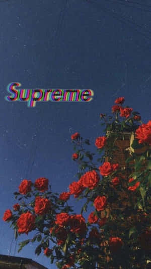 Red Flowers Supreme Aesthetic Tumblr Wallpaper