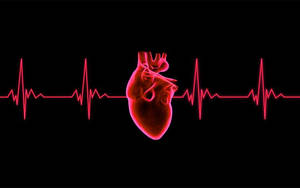Red Heartbeat Graph Wallpaper