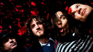 Red Hot Chili Peppers Take The Stage. Wallpaper