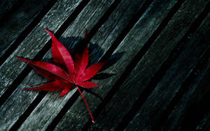 Red Leaf Themed Weed Aesthetics Wallpaper