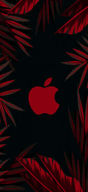 Red Logo With Leaf Amazing Apple Hd Iphone Wallpaper