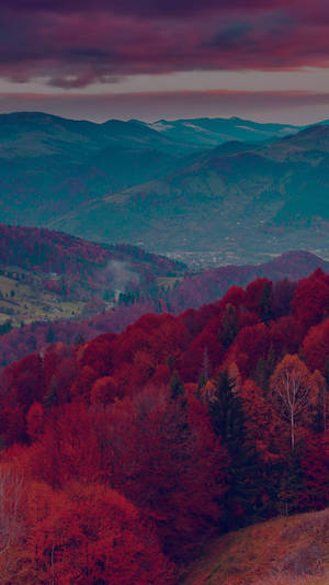 Red Mountain Covered With Trees Wallpaper