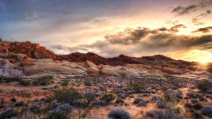 Red Rock Formations And Desert Ferns Wallpaper