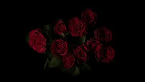 Red Roses Laptop Dimly Lit Room Wallpaper