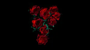 Red Roses Laptop Inverted Triangle Wallpaper