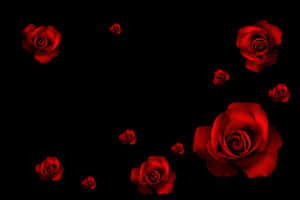 Red Roses On A Black Background Wallpaper