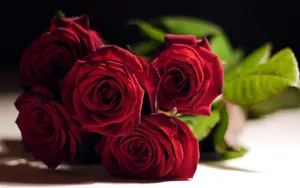 Red Roses Stand In Elegant Formation Wallpaper