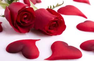 Red Rosesand Petals Hearts H D Wallpaper