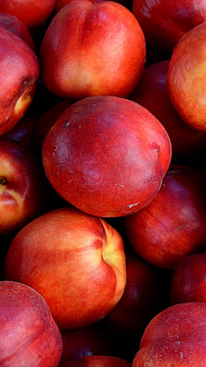 Reddish Ripe Nectarine Fruit Wallpaper