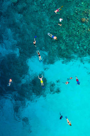 Reef Snorkeling In Maldives Wallpaper