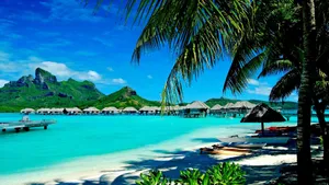 Refresh Your Soul In Summertime Wallpaper
