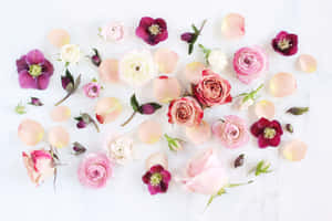 Refresh Your Work Desk With This Beautiful Spring Aesthetic Desktop Wallpaper Wallpaper