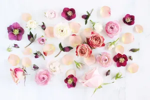 Refresh Your Work Desk With This Beautiful Spring Aesthetic Desktop Wallpaper Wallpaper