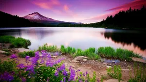 Refresh Your Work With A New Upgrade To Spring Computer Wallpaper