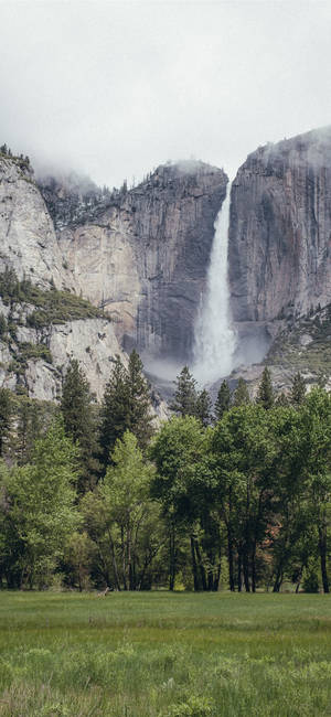 Relax And Enjoy The Amazing Views Of Yosemite National Park With Your Iphone. Wallpaper