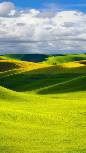 Relaxing Hills Image Wallpaper