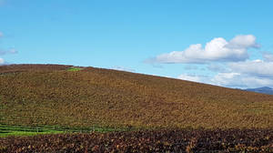 Reliving A Memorable Moment - The Windows Xp Wallpaper Wallpaper