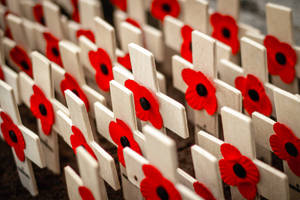 Remembrance Day Wooden Crosses Wallpaper