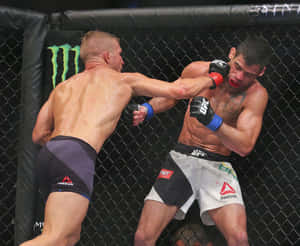 Renan Barão Against Tj Dillashaw Wallpaper