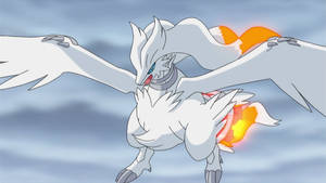 Reshiram Flies Against Clouds Wallpaper