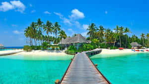 Resort Beach Bridge Island Wallpaper