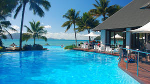 Resort Ocean Swimming Pool Wallpaper