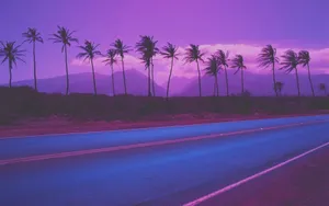 Retro Purple Palm Tree Road In Countryside Wallpaper