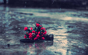 Retro Rain Photography Wallpaper