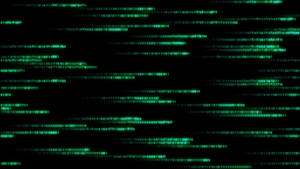 Revealing The Hidden Beauty Of The Matrix Wallpaper